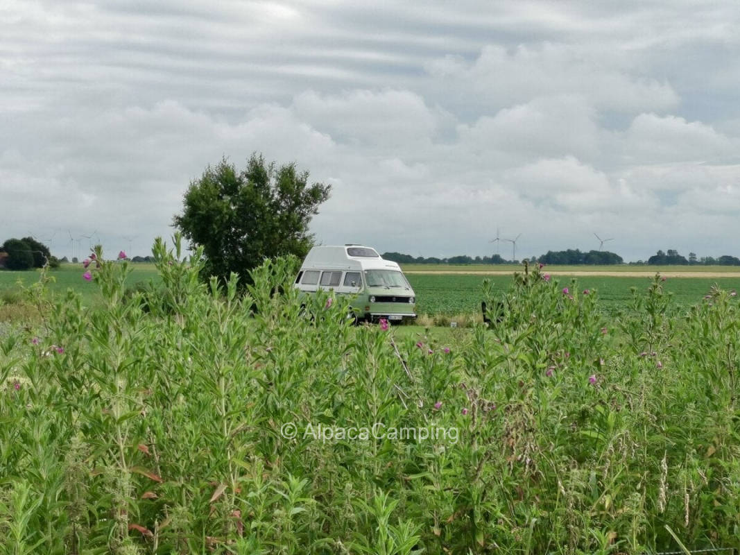 Dike camping very close to nature #1