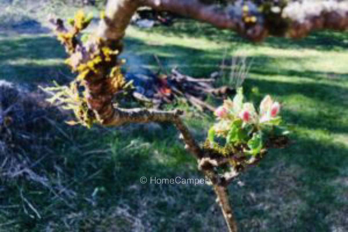 Private place in Michelfeld in the Upper Palatinate