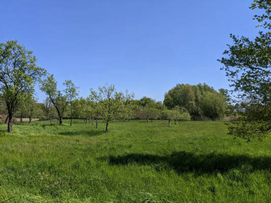 Obstwiese an der oder zelt