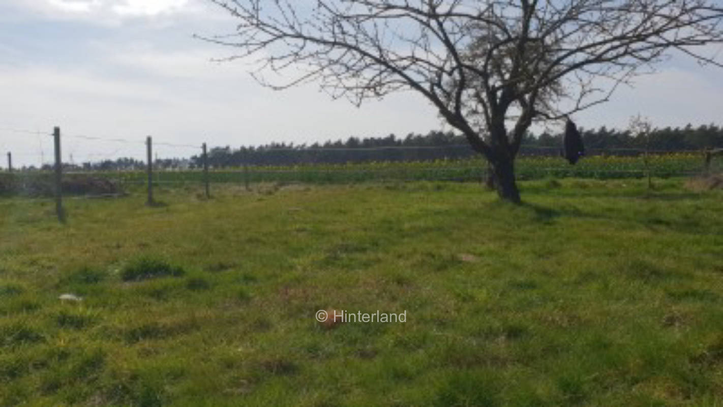 Schnuckeliger Zeltplatz auf kleiner Obstwiese