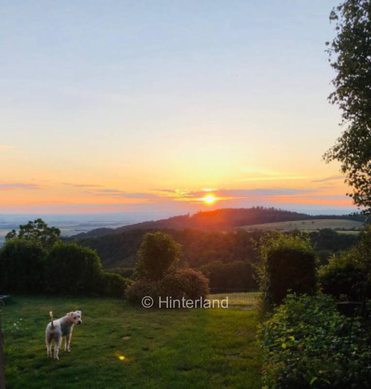 Beautiful campsite with views of the Mosel and Eifel