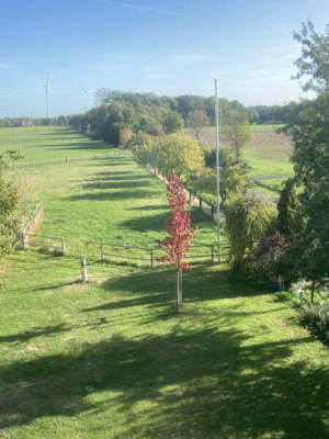 privater Stellplatz (Campspace 9008)