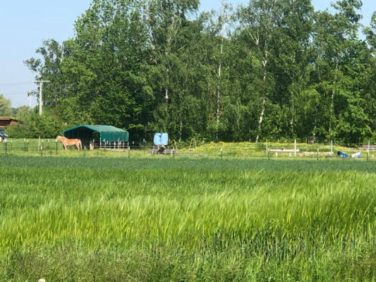 Platztyp für 6 Personen (Campspace 29545)