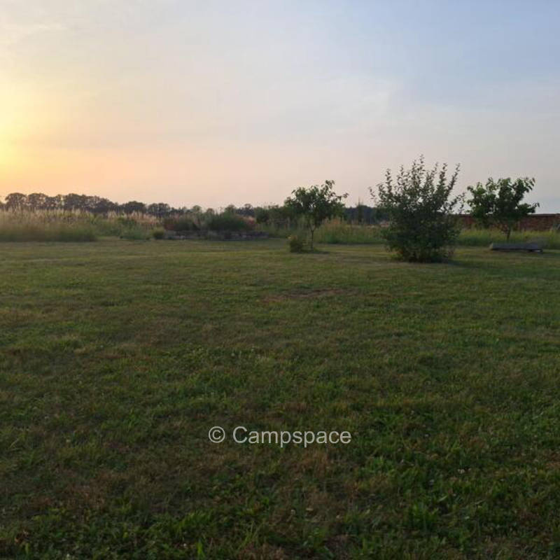 Campspace mit Blick über Wildblumenwiese in Räckelwitz, Sachsen