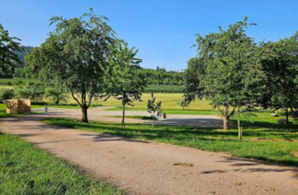 Camping at Wiesencamp
