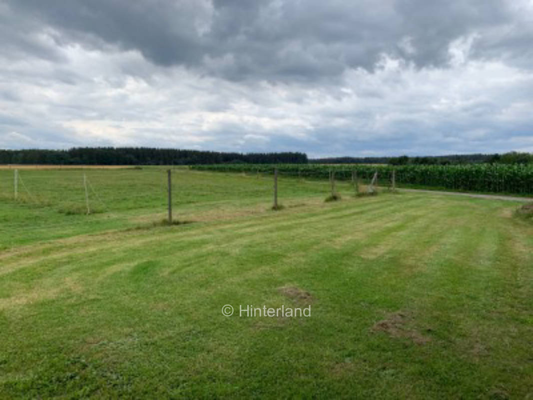 Koppel Camping am ruhigen Ortsrand 