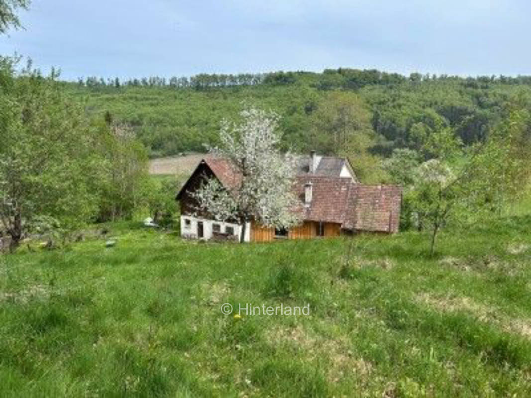 Landliebe Hofgut Heiligenberg Bodenseeregion