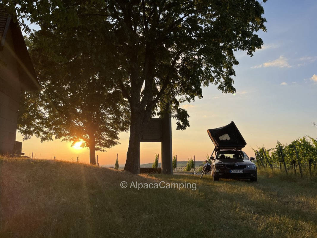 AlpacaCamping 925
