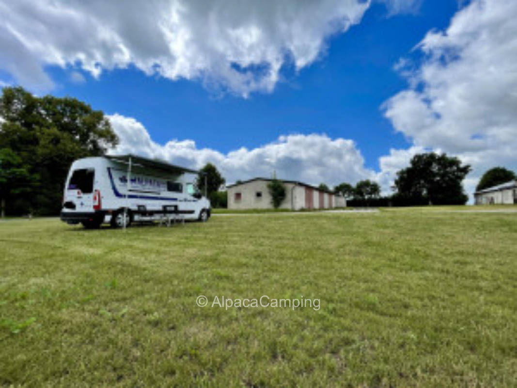 At the Swedish flower chickens #2