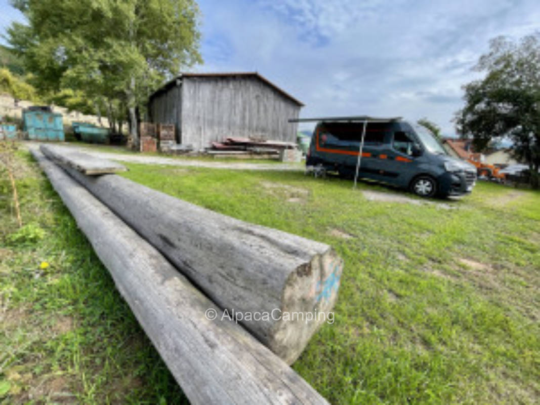 At the game reserve #1