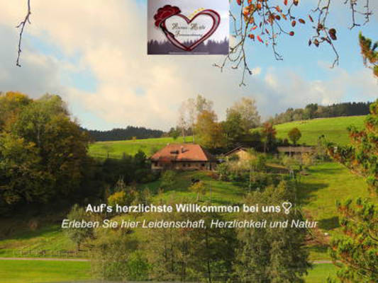„Hernis-Höfle“ Wohlfühlambiente im Elztal  5⭐️Sterneferien.