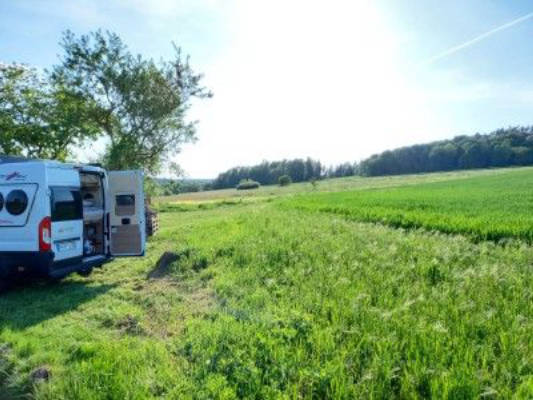 Meadow pitch surrounded by forest and fields