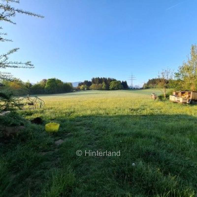 Fuchs&Hase     See&Wald