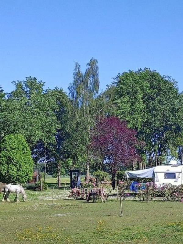 WoMoWestermoor Campingplatz