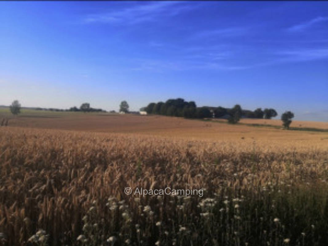 Stellplatz im kleinen Garten im Feld #2
