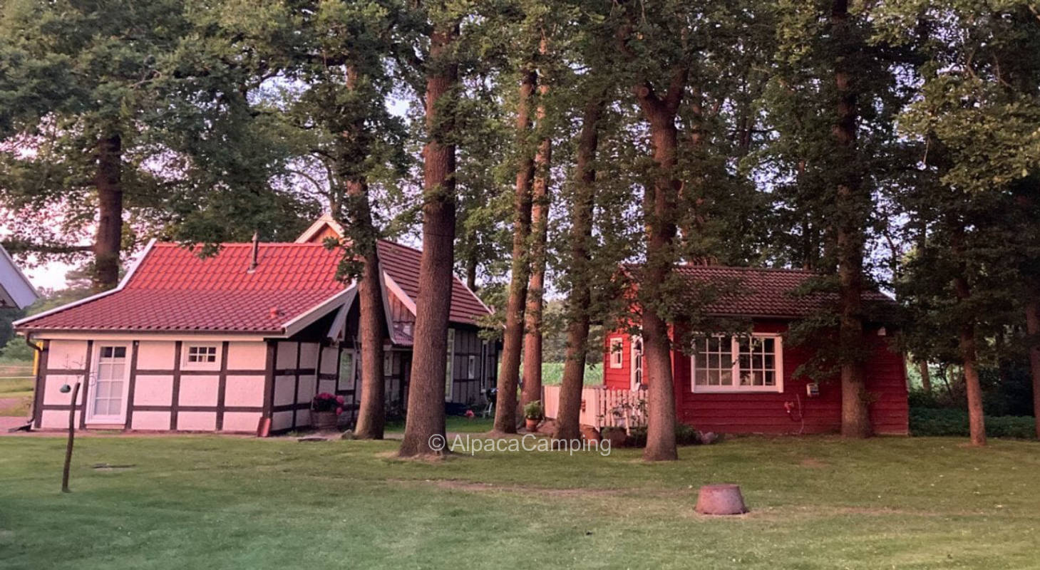 Quiet meadow with adjacent orchard and stream #1