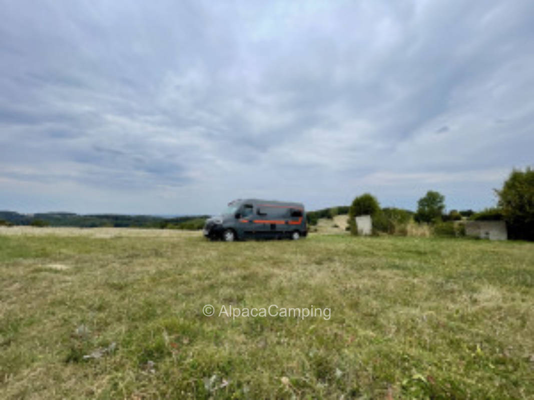 Dream view in the greenery #1