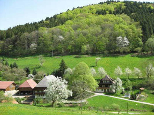 Vorderhof