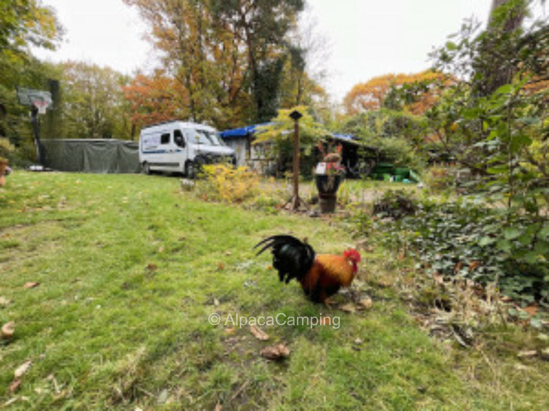 Parkähnliche Idylle am Rande der Wahner Heide zwischen Köln und Bonn #1