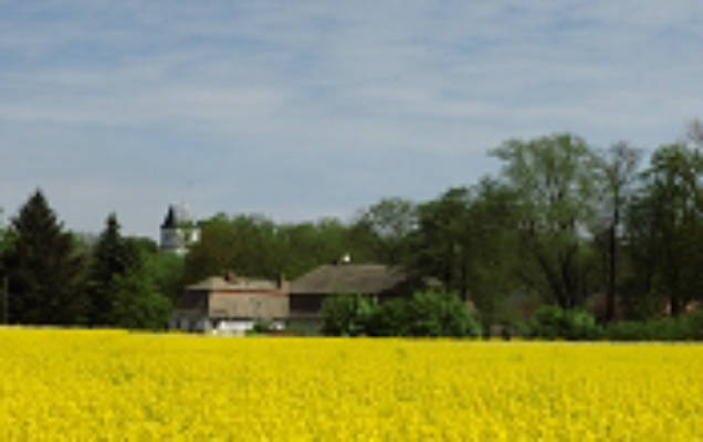 Neuseenmühle