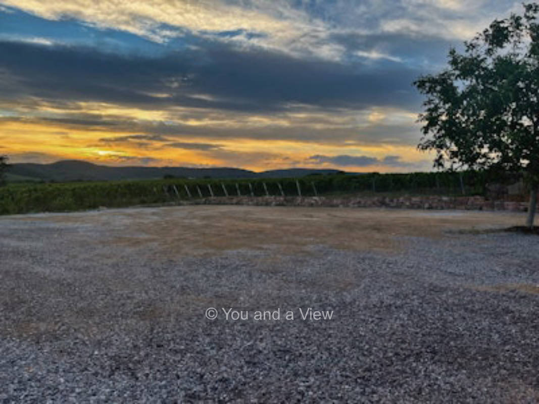 Am Rande der Weinberge - Urlaub auf dem Weingut
