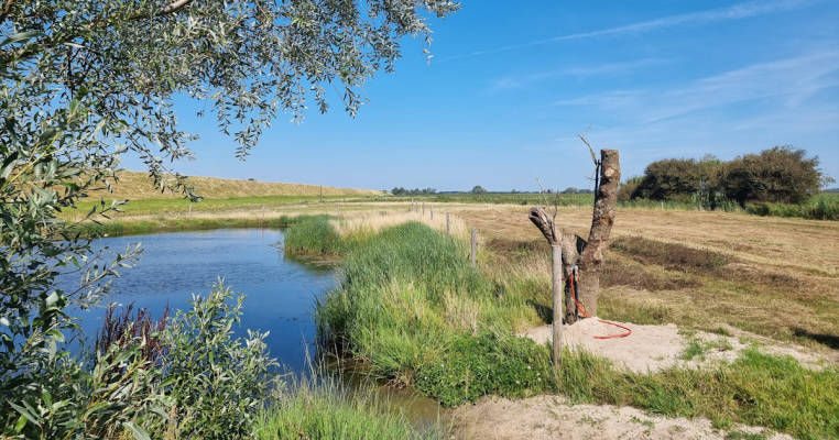 Zum Ziegendeich