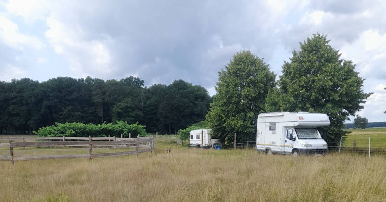 Meadow by the Horse Paddock