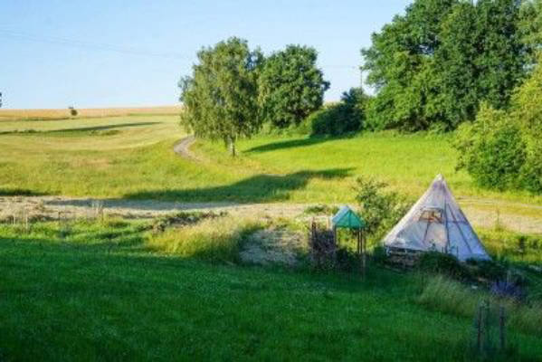 Auszeit in der Bauminsel auf der Wiese
