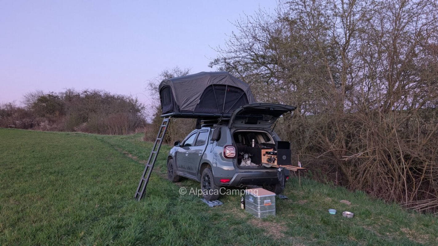 On the lonely flower meadow