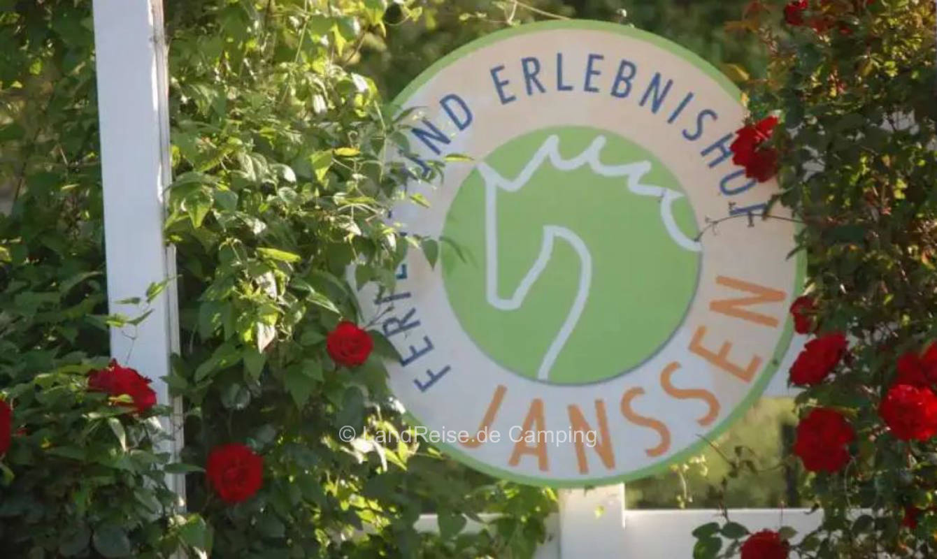 Schöner Stellplatz auf der Wiese auf dem Ferienhof Janssen