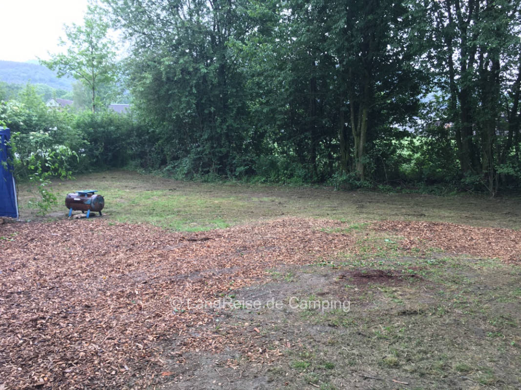 Pitch with meadow and deciduous trees all around