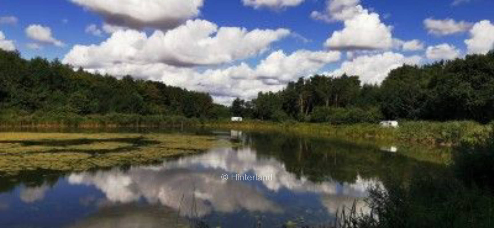 Naturparadies am Teich🌲🦔🐿️