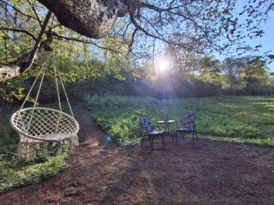 Westerwald Idyll: Campsite by the Stream