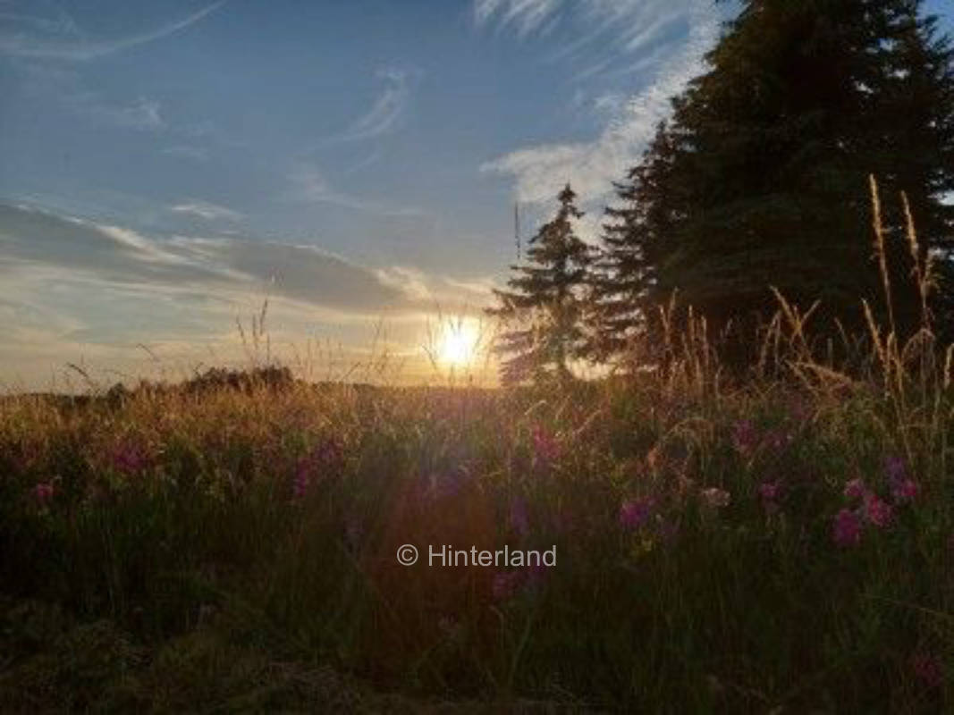 Idylle auf dem Land im lieblichen Taubertal
