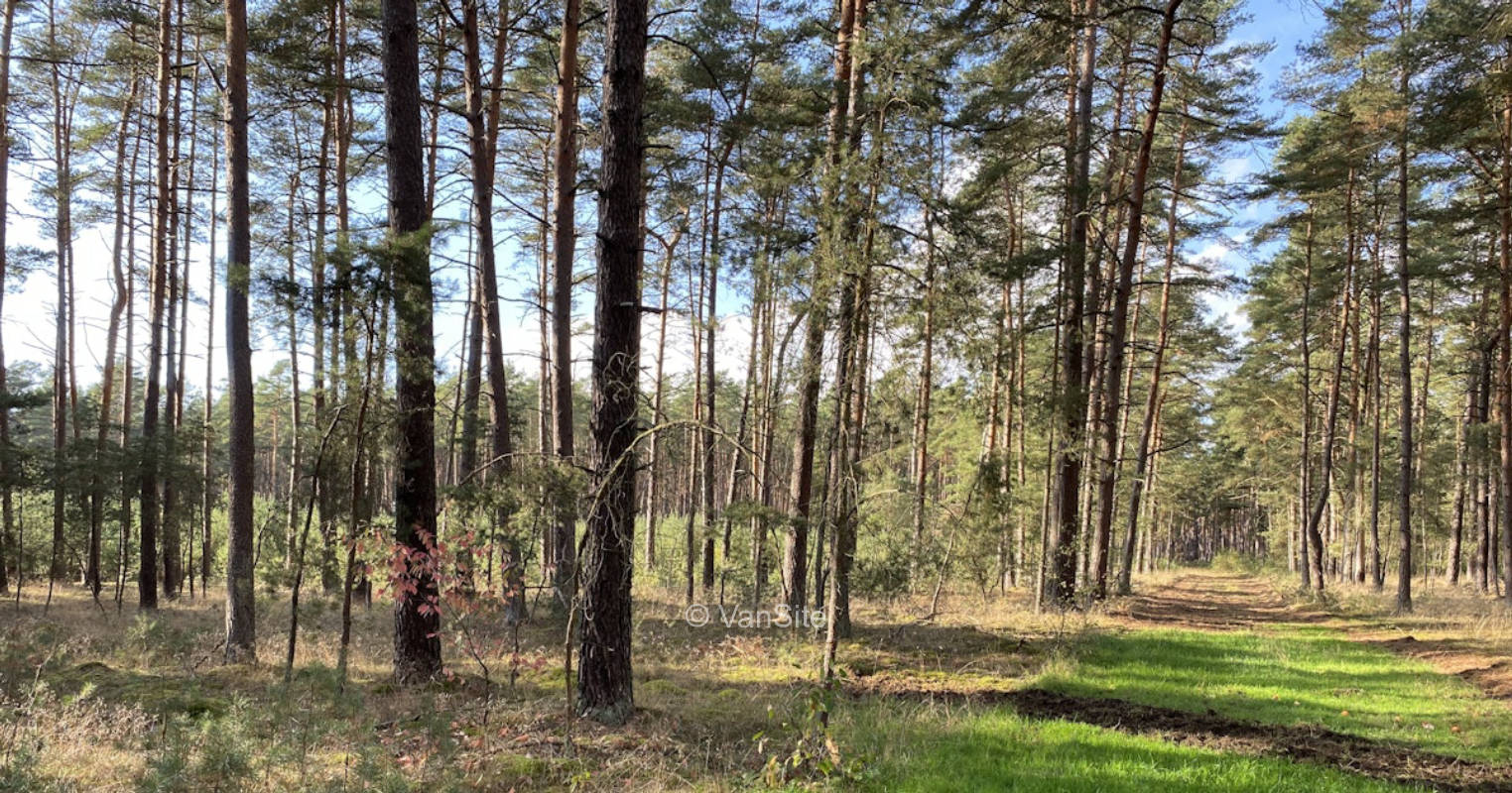 Mehrere Möglichkeiten am Grünen Band