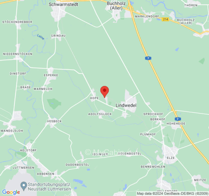 Inmitten des Waldes