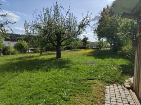 Unterm Sternenhimmel im Obstgarten 