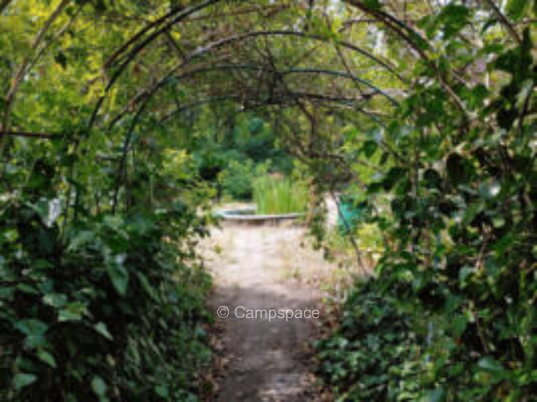 Nature camping on the Müggelspree in Berlin