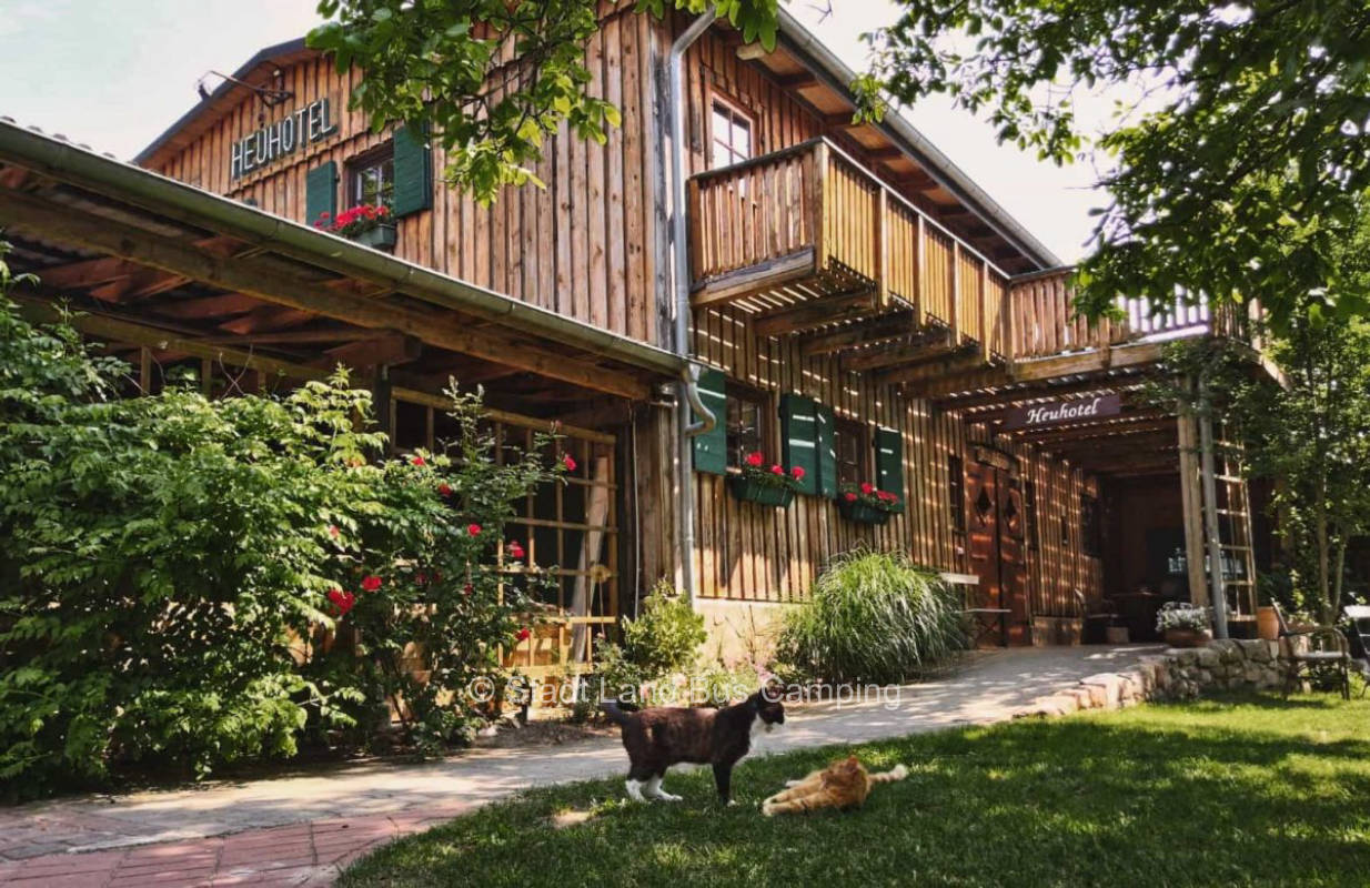 Vacation farm Trapp - Am Reitplatz 2