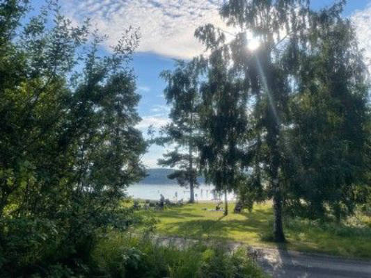 Camper spots by Finnsjön – forest, beach & trails