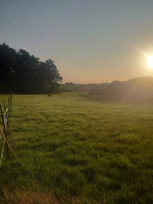 Holiday in Holstein Switzerland in a secluded location