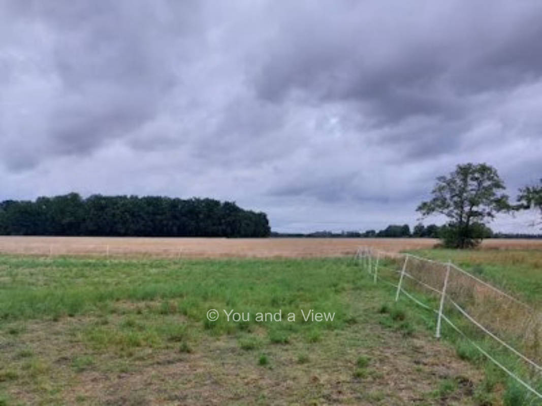 Bei den Pferden in Natho