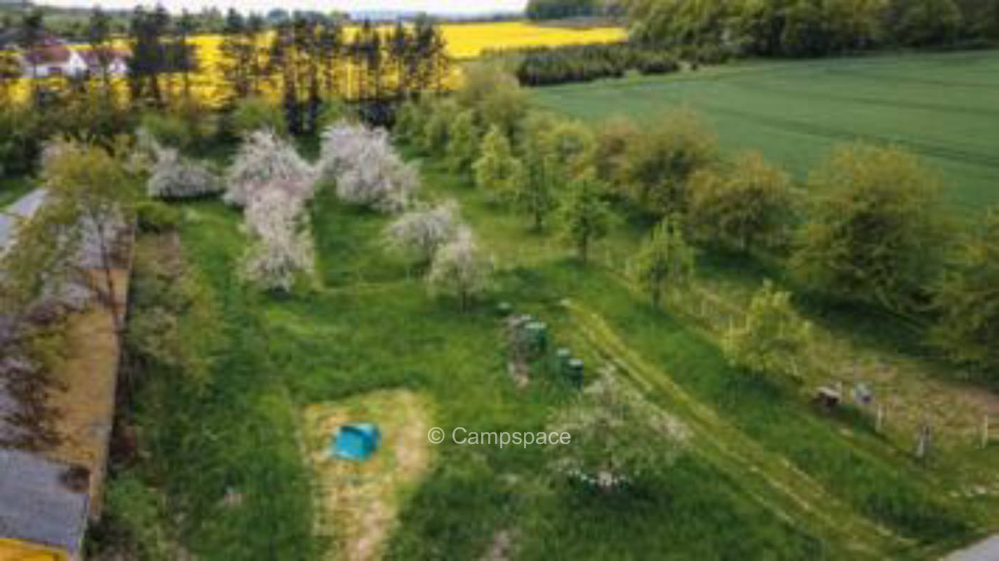 Asphaltierter Stellplatz (Campspace 4143)