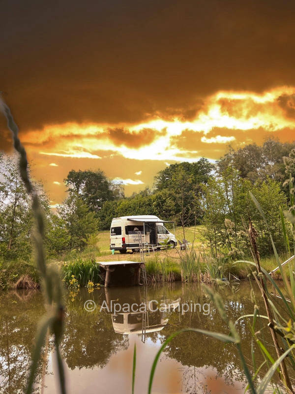 AlpacaCamping 2468