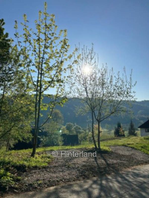 Landliebe Heiligenberg in der Bodenseeregion