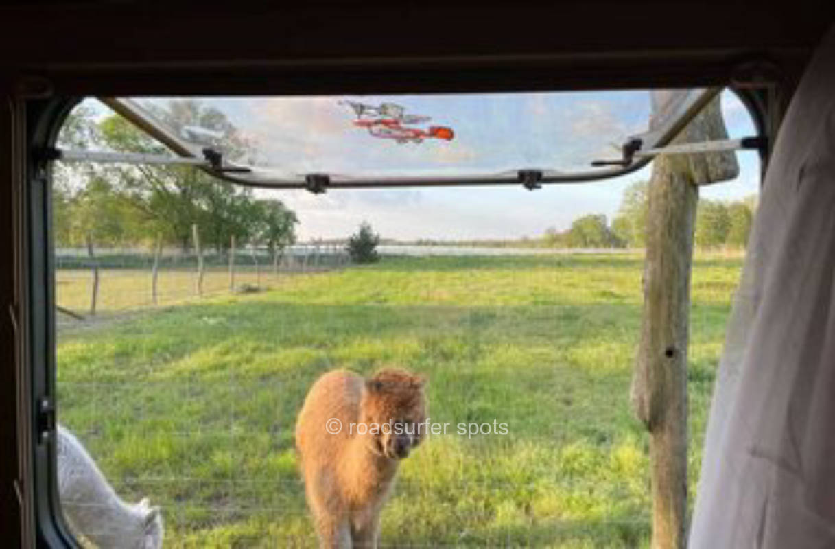 Camping auf Alpakaburg Molino