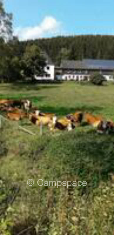 Bauernhofcamping im Sauerland