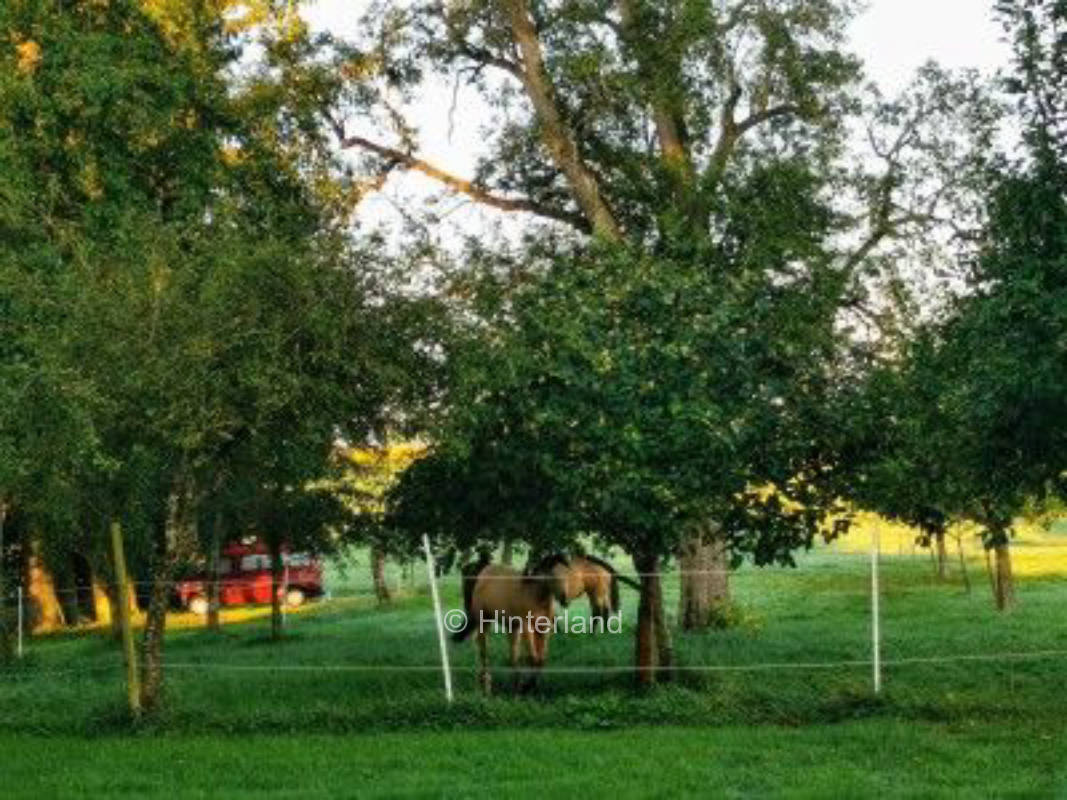 VersteckBar: Romantic hideaway in solitary location