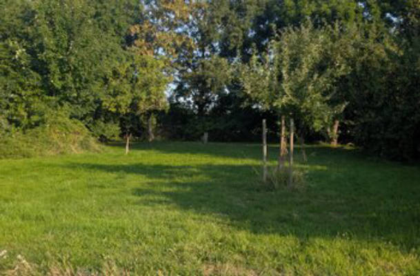 Ruhiger Camping-Stellplatz an der Elbe