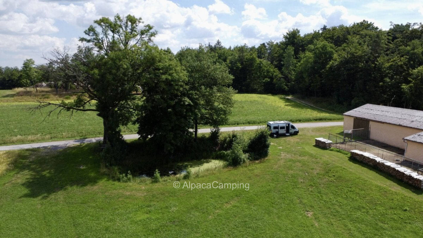 Camping in nature #1